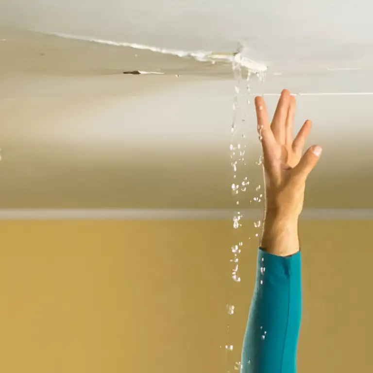 Lekkage dak bedenking lek