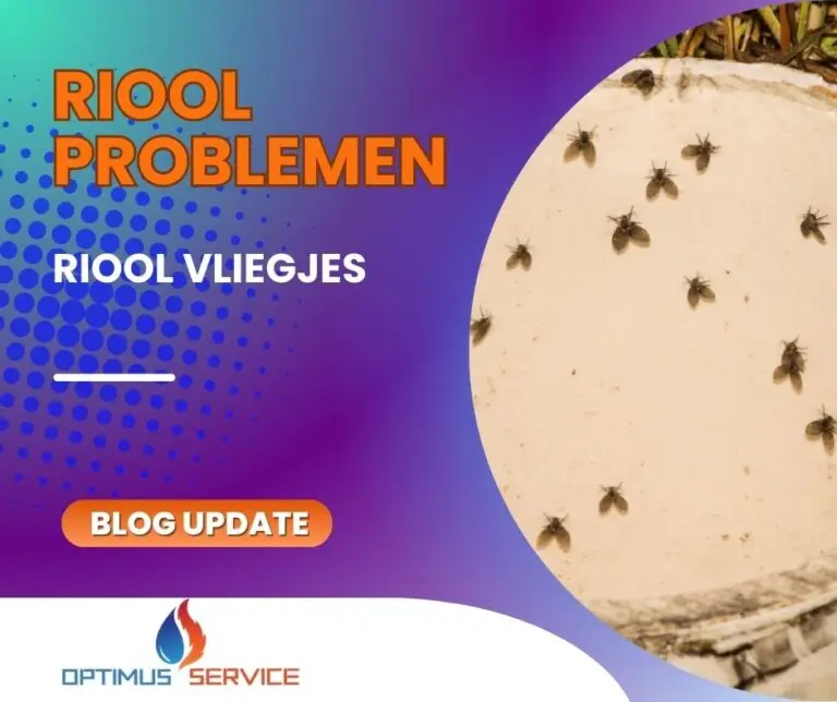 rioolvliegjes, riool