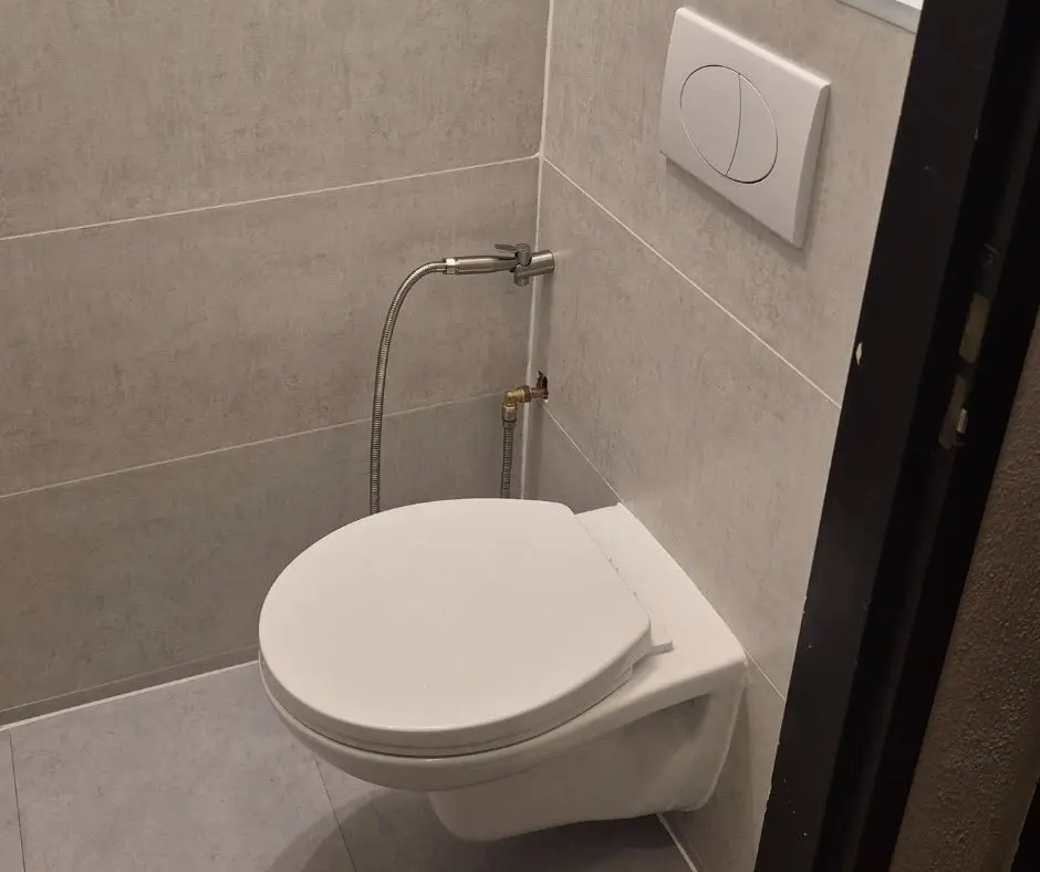 toilet , ontstoppen , plaatsen