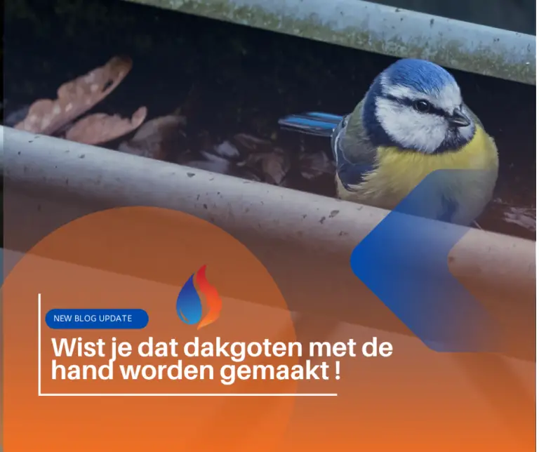 dakgoot, loodgieter, breda